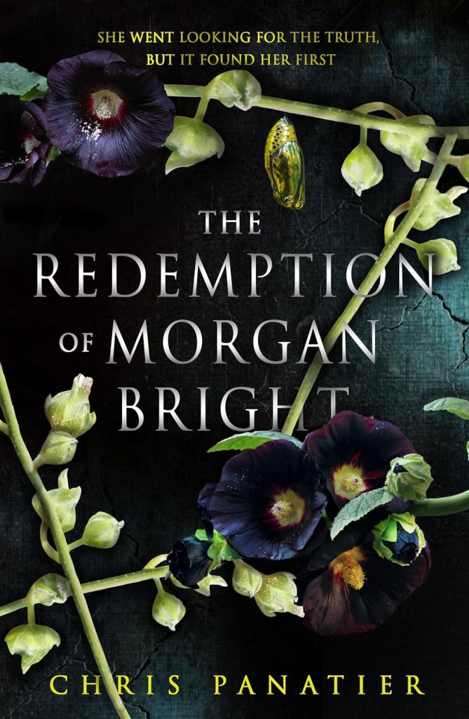 Horror gift cover image for The Redemption of Morgan Bright